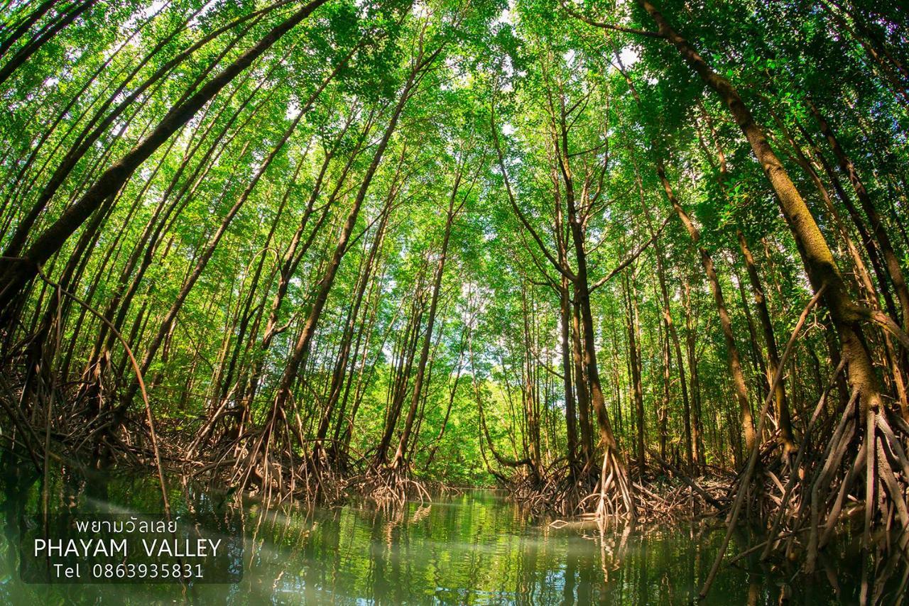 Phayam Valley Koh Phayam Dış mekan fotoğraf